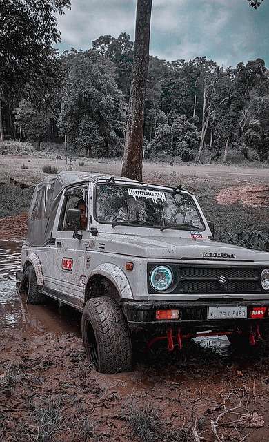 这为她在比 这为她在比