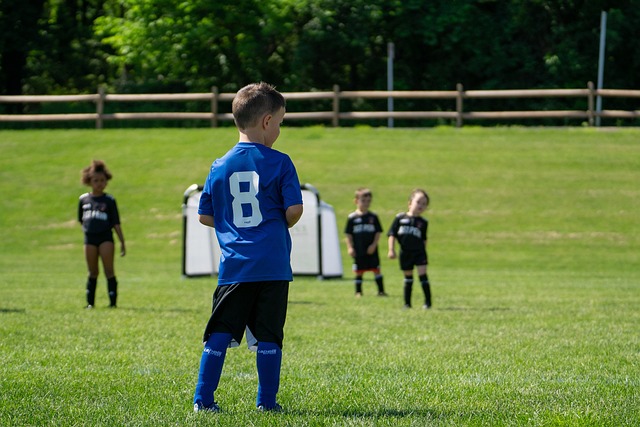 的培养和支 的培养和支