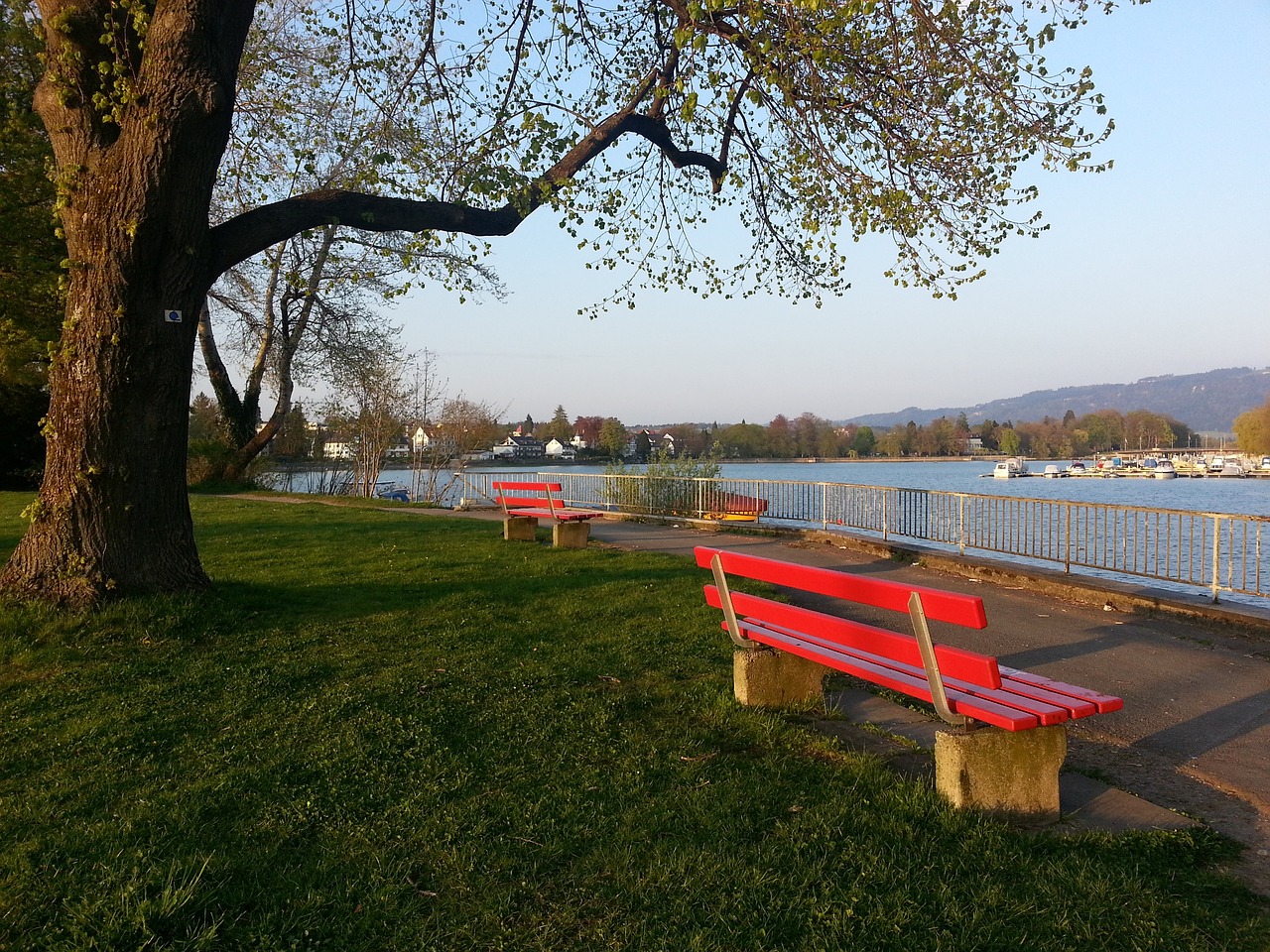 名已久的N 名已久的N