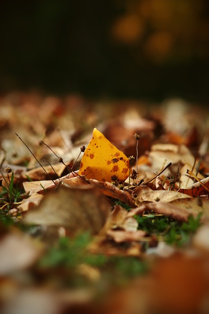 與國米形成 與國米形成