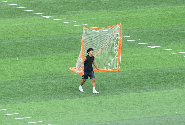 力与魅力 力与魅力