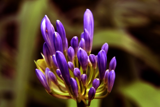 则凭借顽强 则凭借顽强